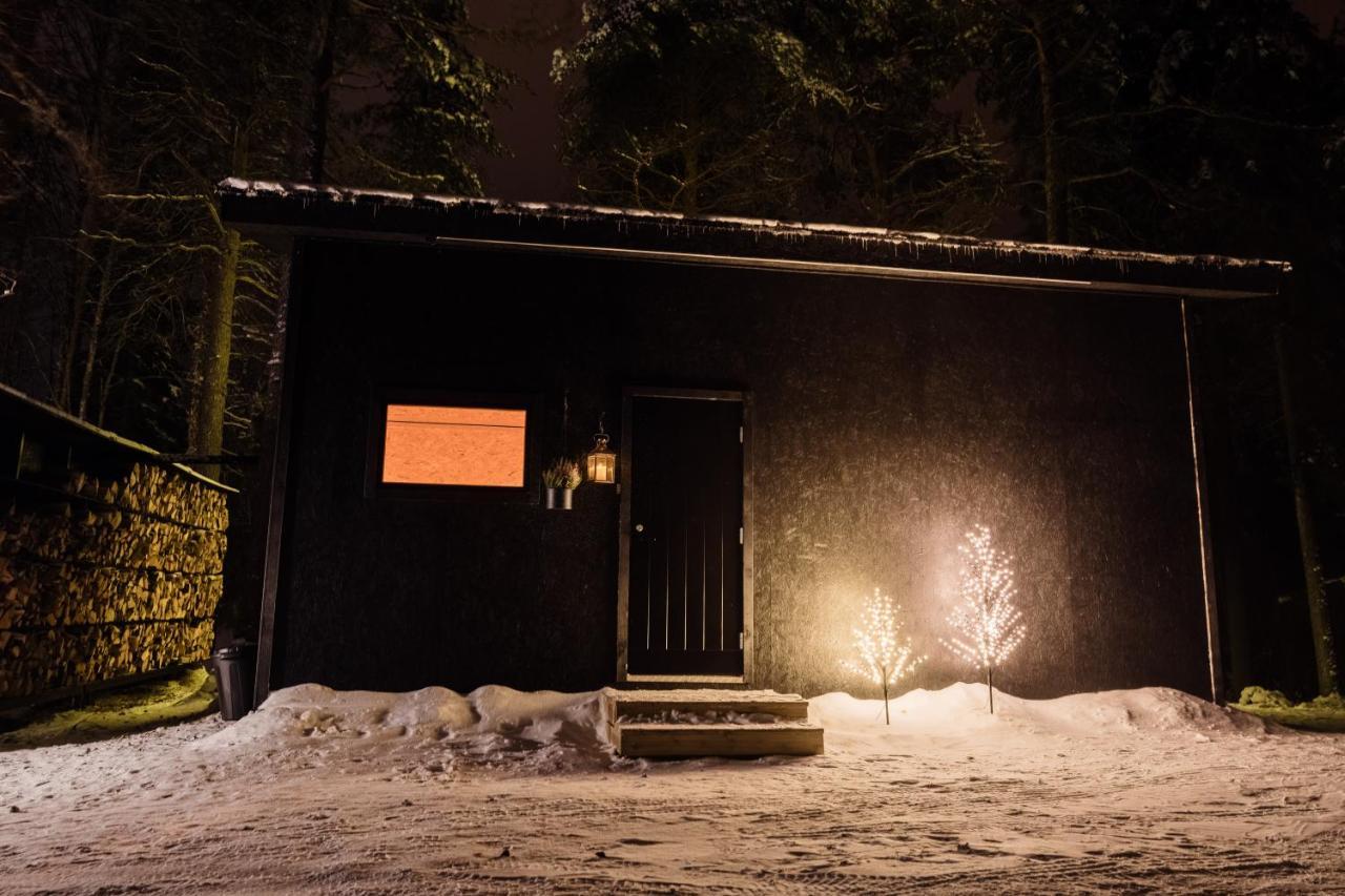 Ternu Minivilla Rovaniemi Extérieur photo